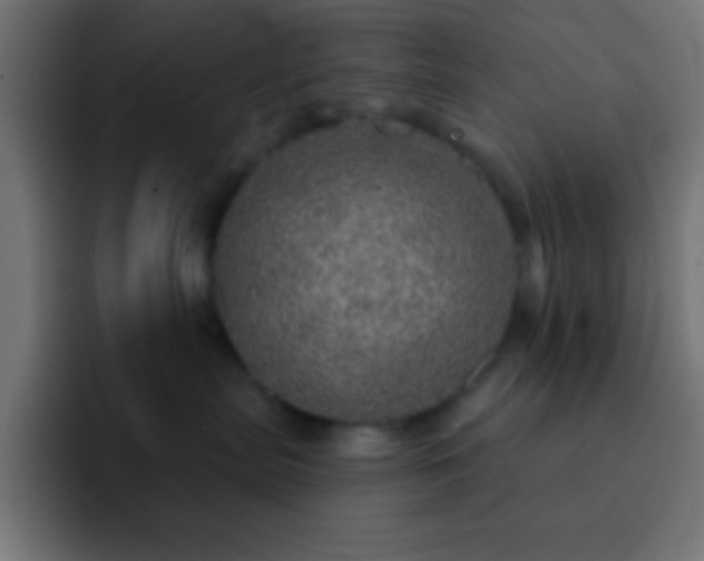 X0000093100287200710031835