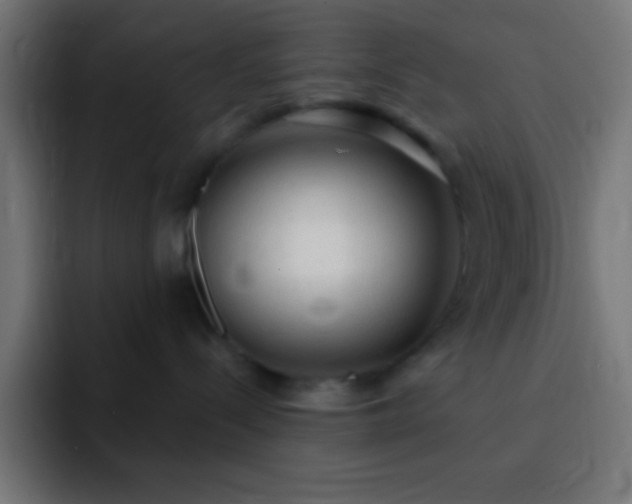 X0000093100288200710031835