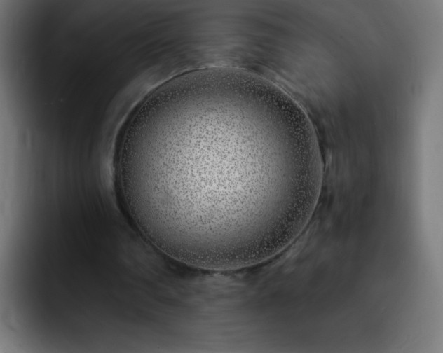 X0000093100290200710031835