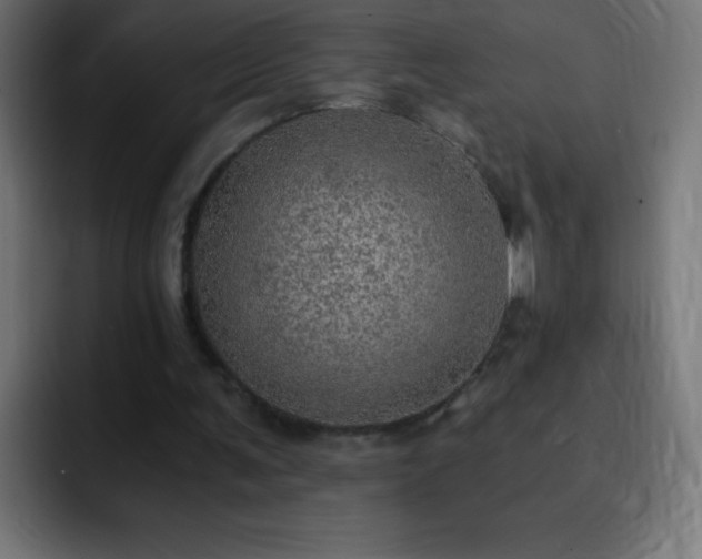 X0000093100291200710031835