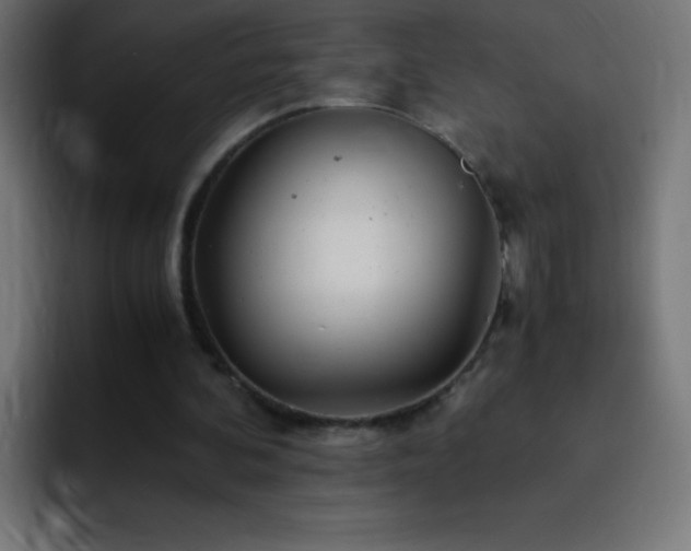 X0000093100292200710031835