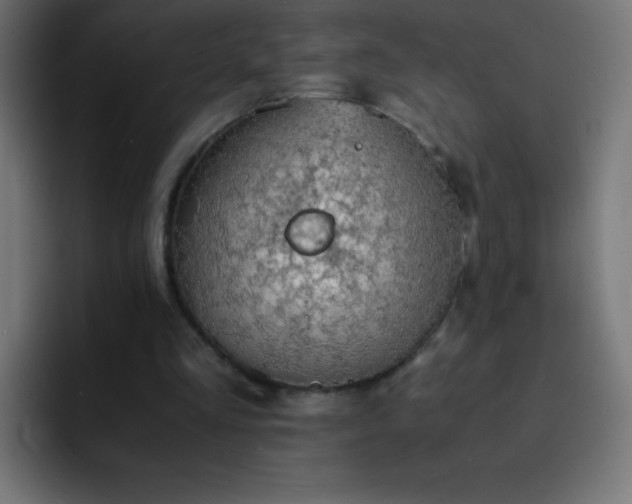 X0000093100293200710031835