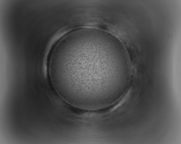 X0000093100294200710031835
