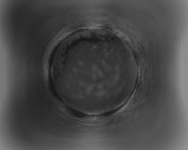 X0000093100295200710031835