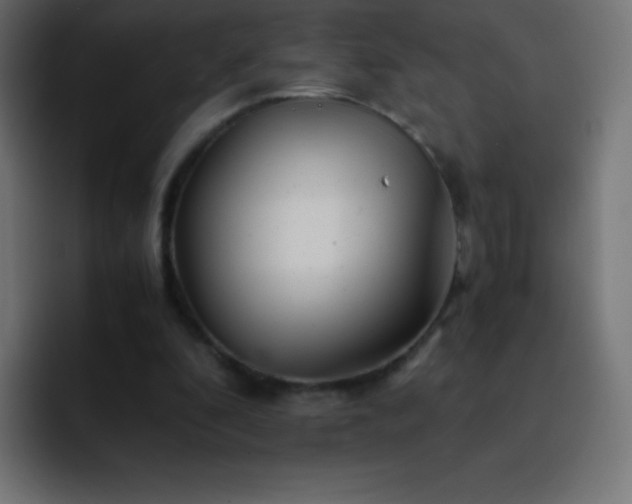 X0000093100296200710031835