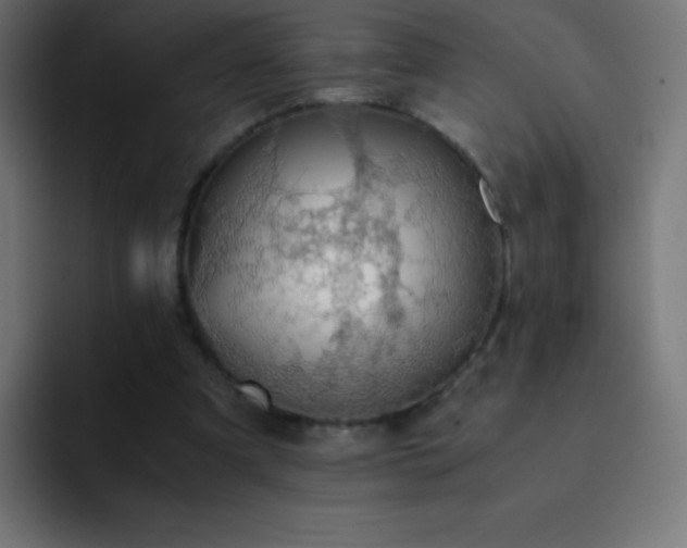X0000093100297200710031835