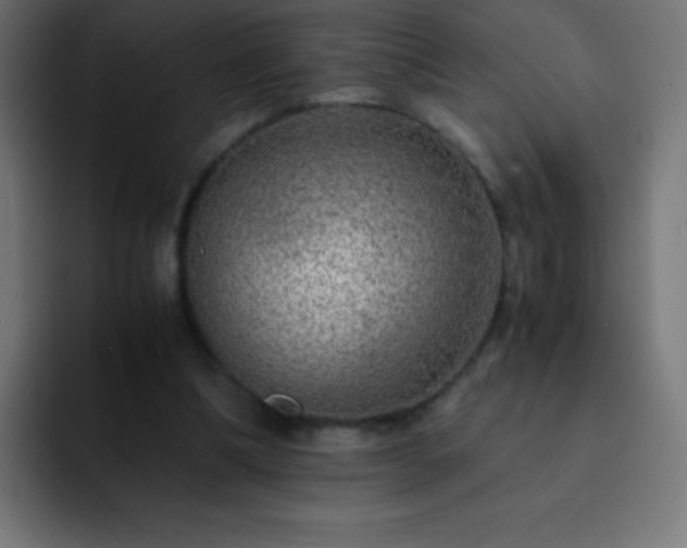 X0000093100298200710031835