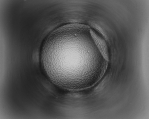 X0000093100299200710031835