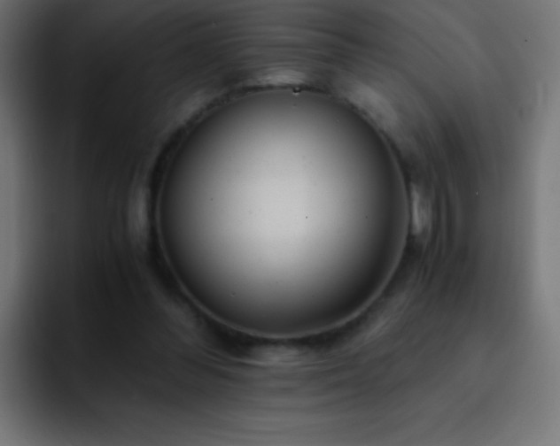 X0000093100300200710031834