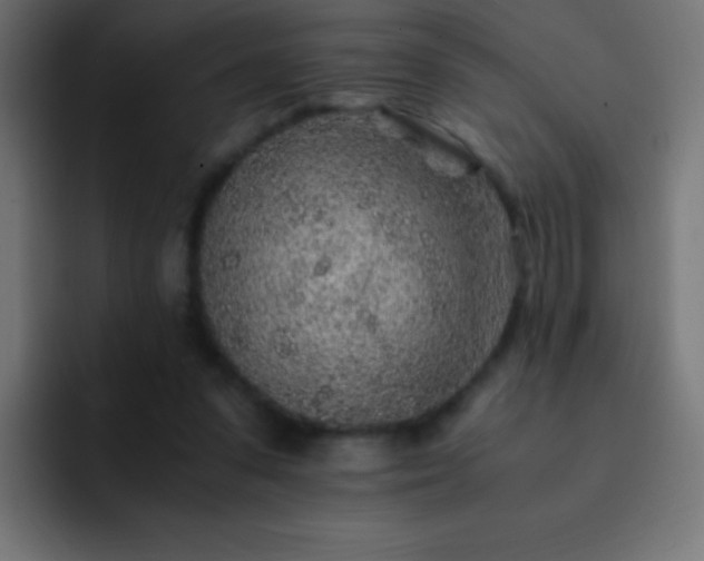 X0000093100303200710031834