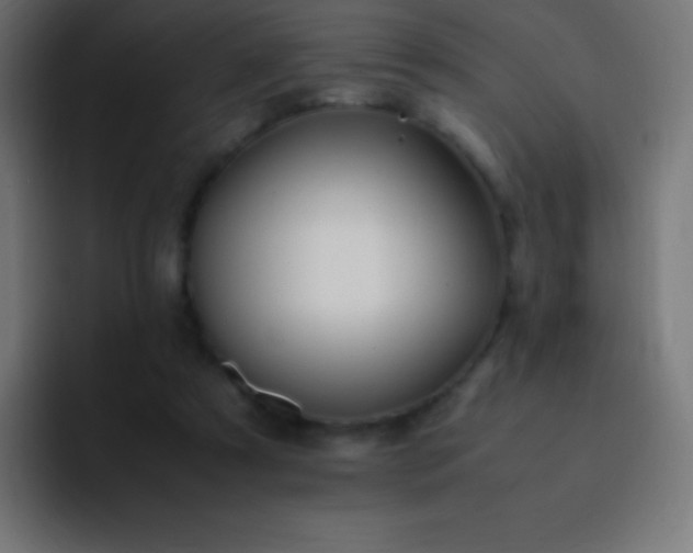 X0000093100305200710031834
