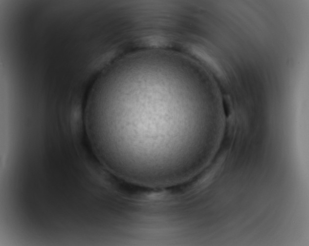 X0000093100306200710031834