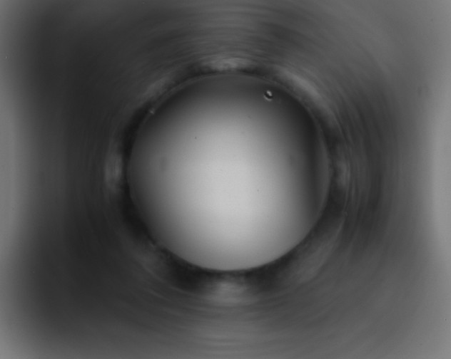 X0000093100308200710031834