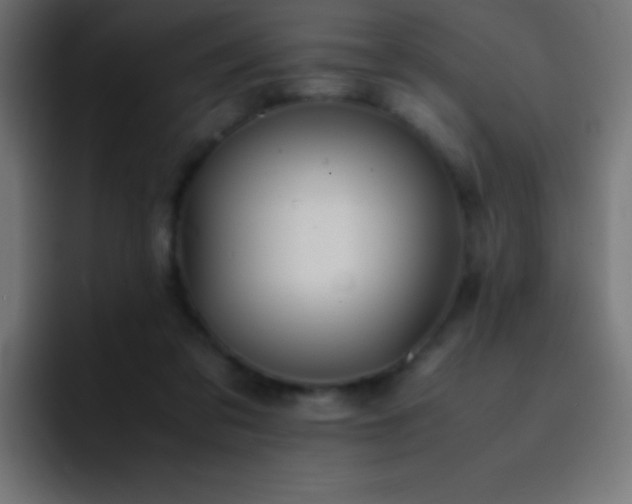 X0000093100309200710031834