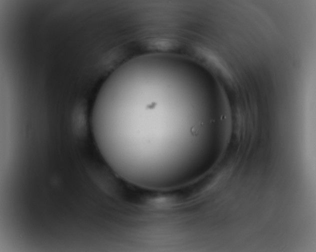 X0000093100312200710031834