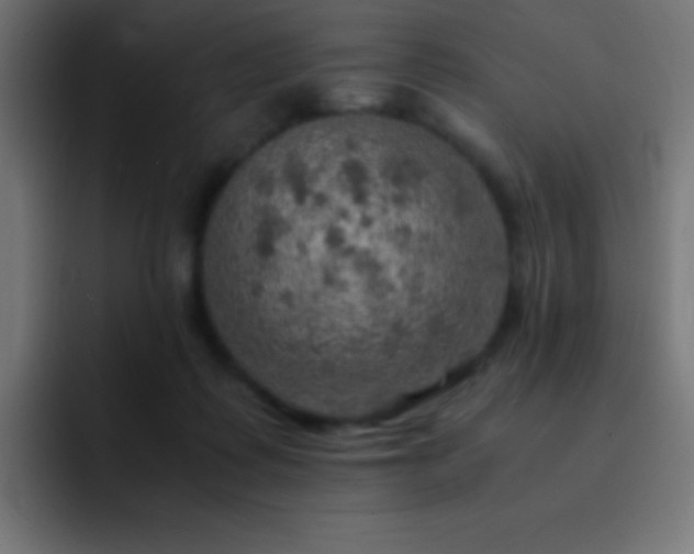 X0000093100315200710031834