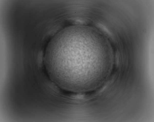 X0000093100318200710031834