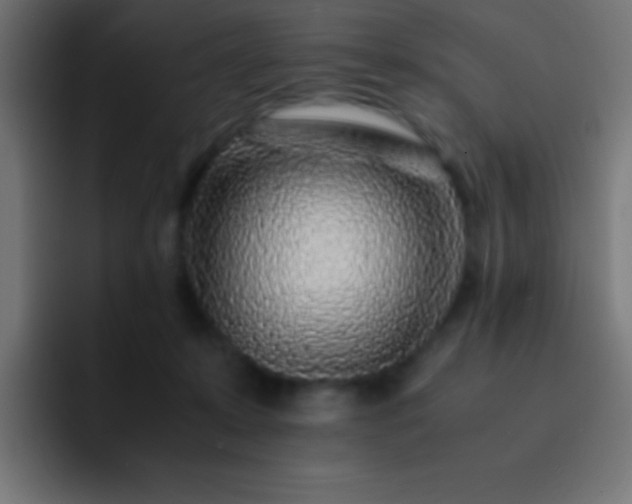 X0000093100319200710031834