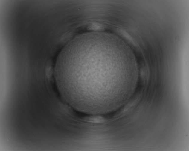 X0000093100322200710031834