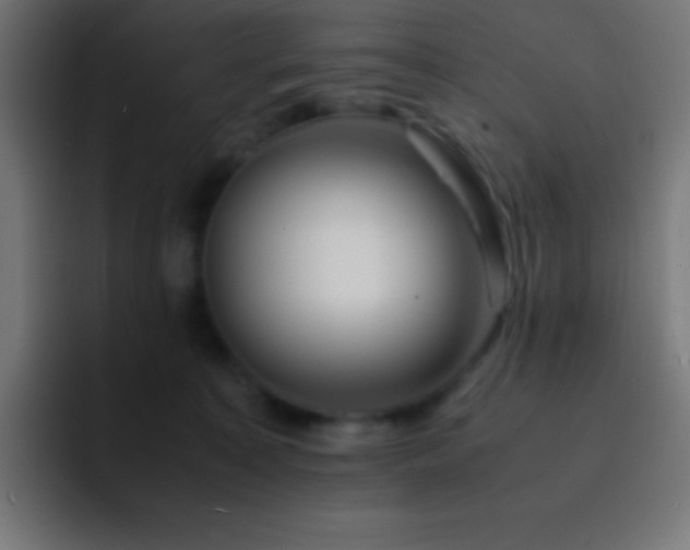 X0000093100323200710031834