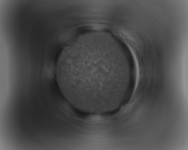 X0000093100325200710031834