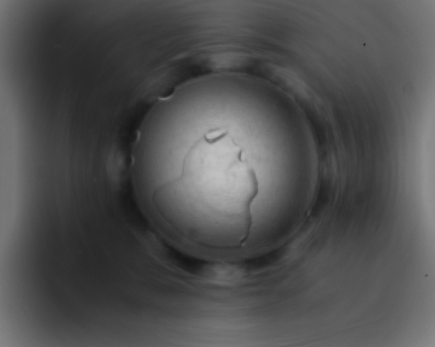 X0000093100327200710031834