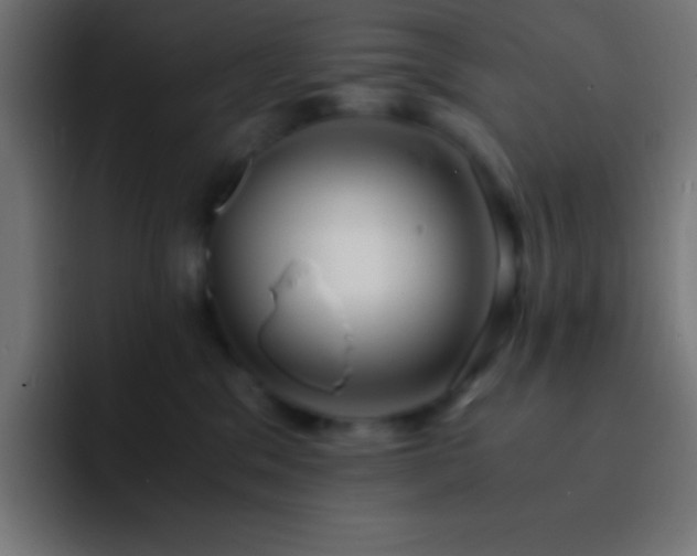 X0000093100329200710031834