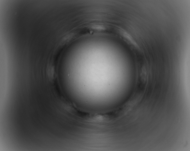 X0000093100330200710031834