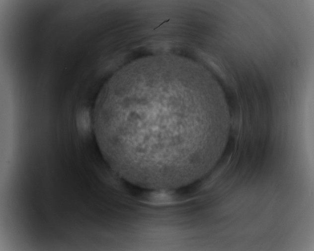 X0000093100335200710031834
