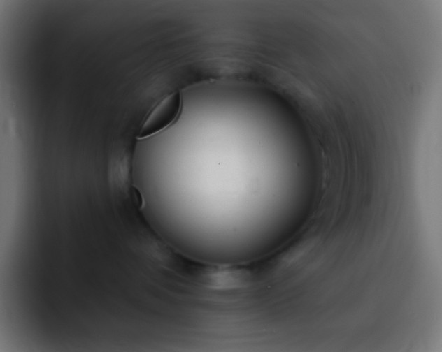 X0000093100336200710031834