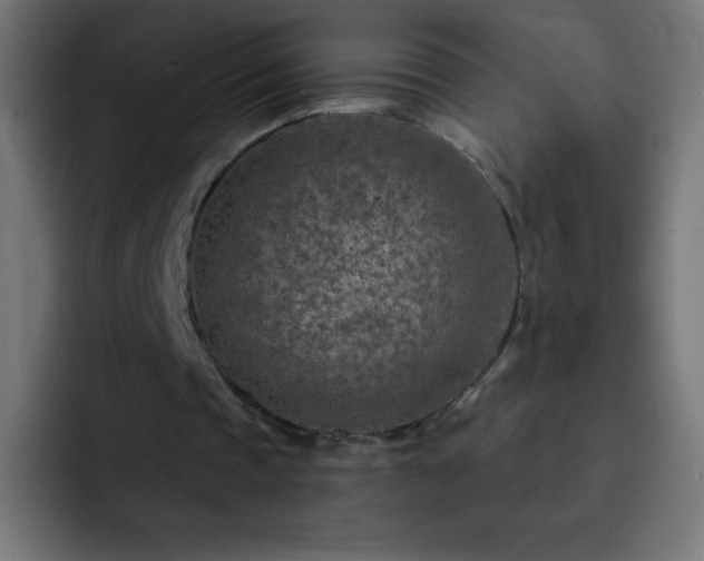 X0000093100337200710031834