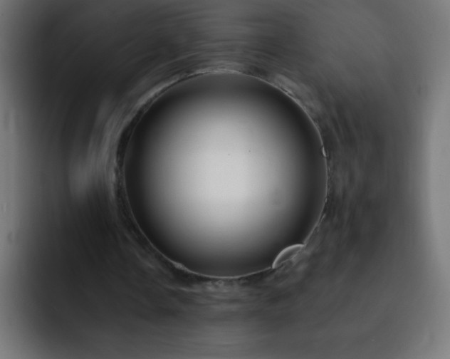 X0000093100338200710031834