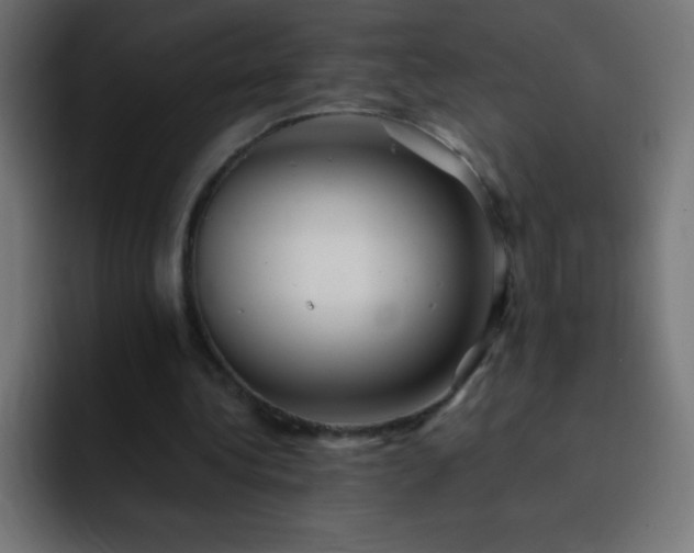 X0000093100340200710031834