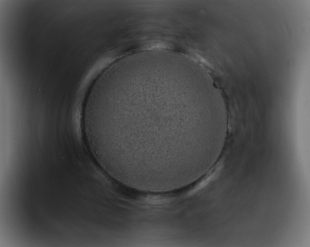 X0000093100341200710031834