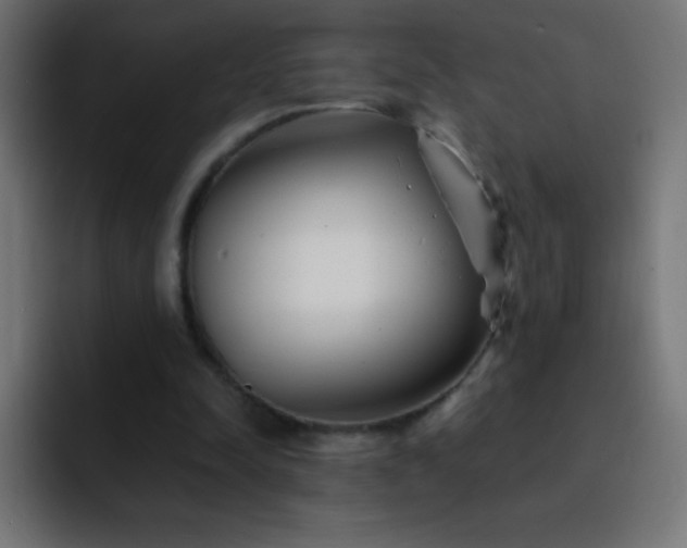X0000093100342200710031834