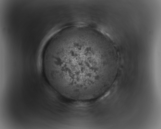 X0000093100343200710031834