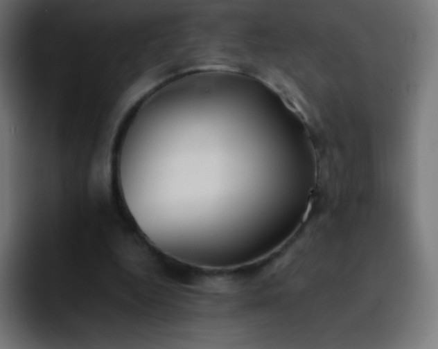 X0000093100344200710031834