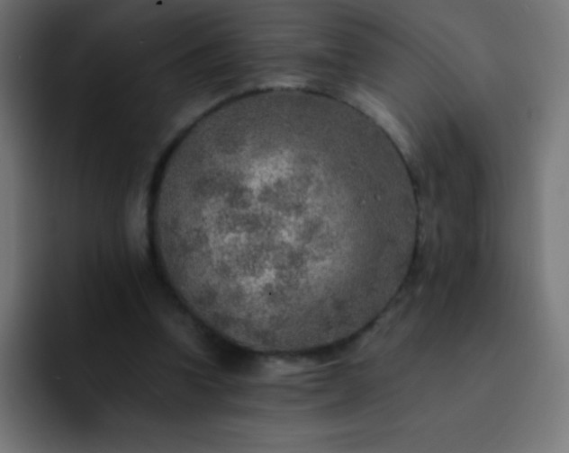 X0000093100346200710031834