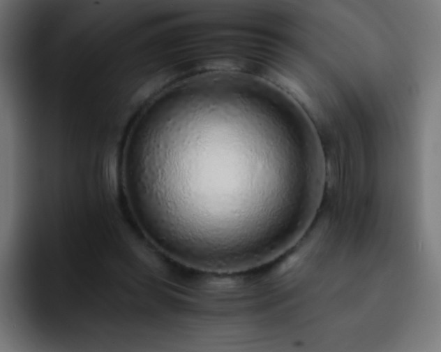X0000093100349200710031834