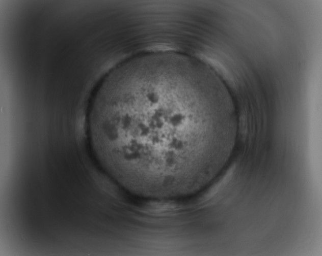 X0000093100351200710031834