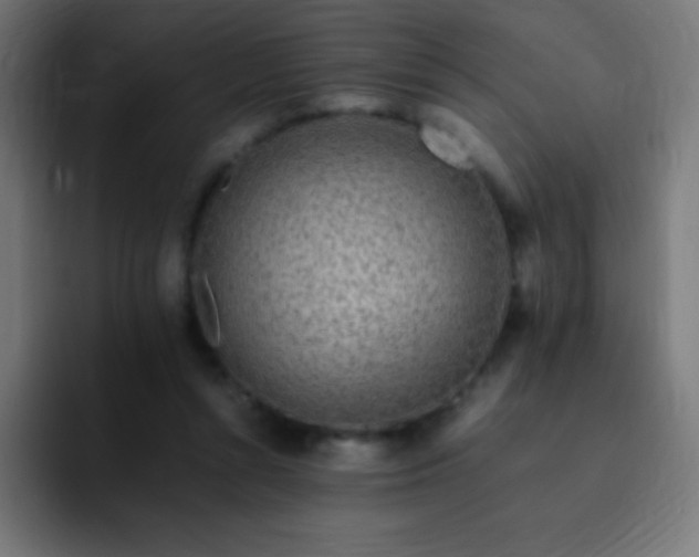 X0000093100352200710031834