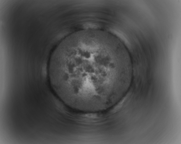 X0000093100353200710031834