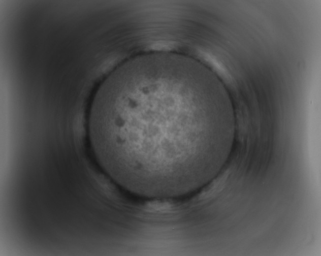 X0000093100354200710031834