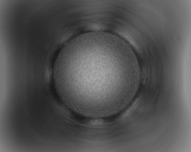 X0000093100355200710031834