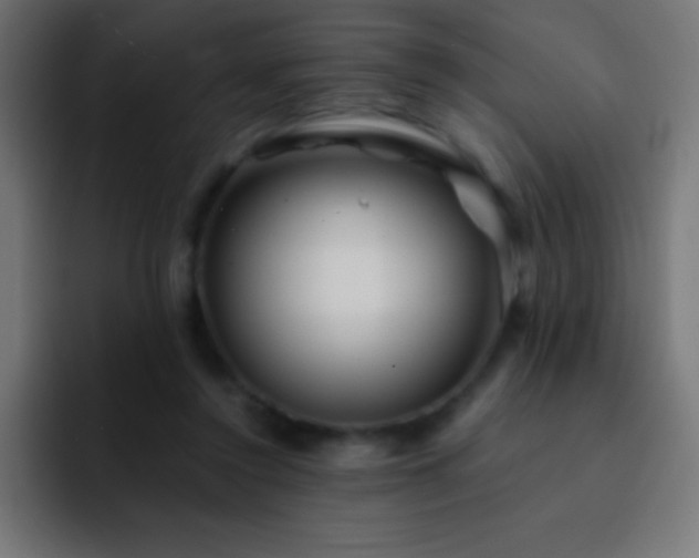 X0000093100356200710031834