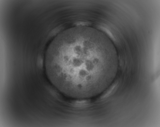 X0000093100357200710031834