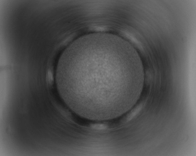 X0000093100358200710031834