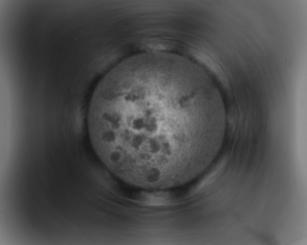 X0000093100359200710031834