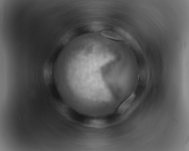 X0000093100360200710031834