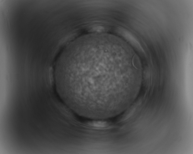 X0000093100361200710031834